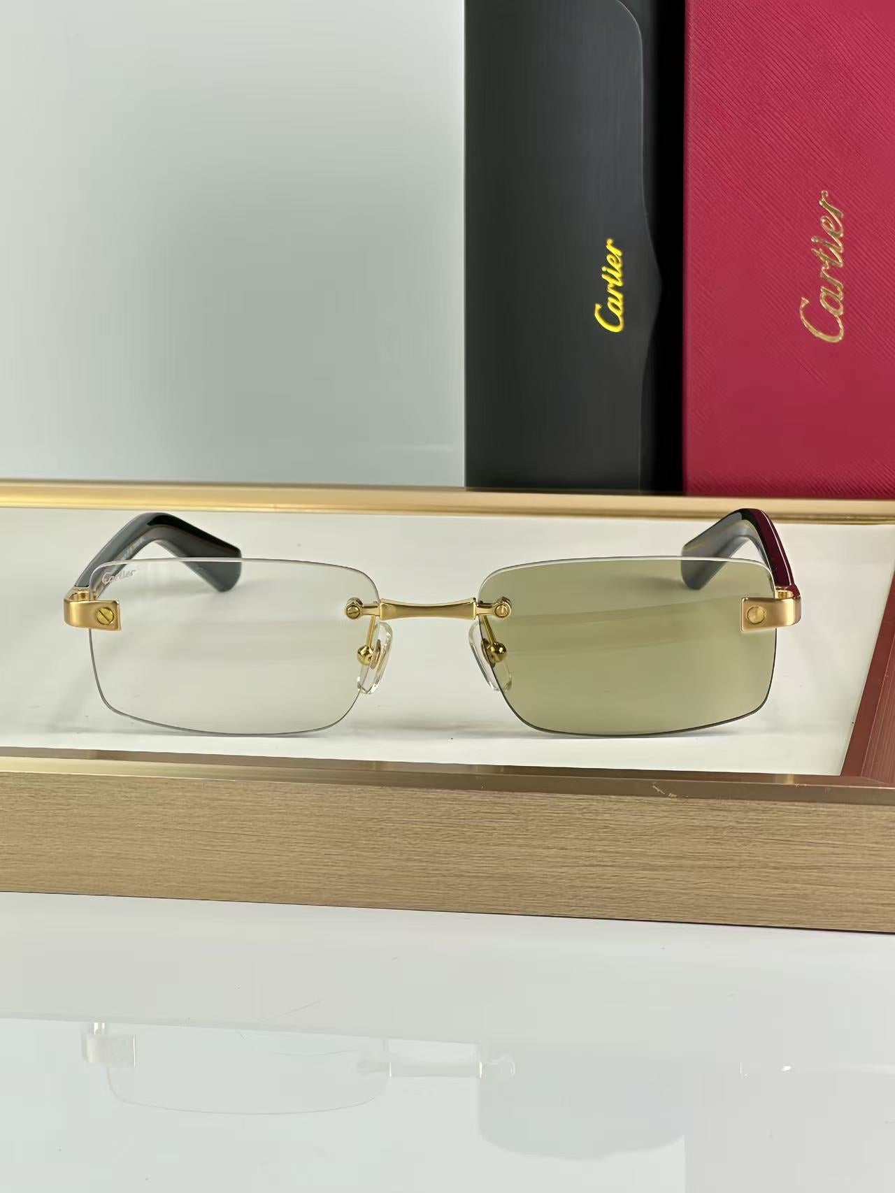 Cartier CT0513O Photochromic Lenses